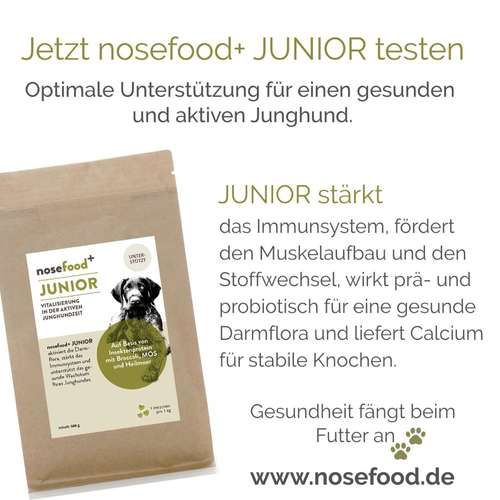 Hundeauslaufgebiet-nosefood Die Hundefutter-Manufaktur-Bild