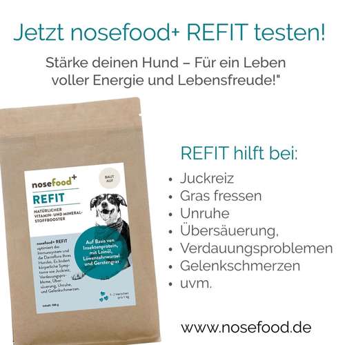 Hundeauslaufgebiet-nosefood Die Hundefutter-Manufaktur-Bild