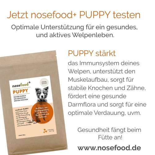 Hundeauslaufgebiet-nosefood Die Hundefutter-Manufaktur-Bild