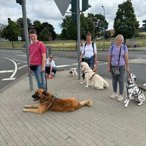 Hundeauslaufgebiet-Martin Rütter Hundeschule Frankfurt-Bild