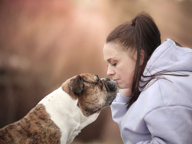 Hundeauslaufgebiet-Dream Teams by Katrin-Bild