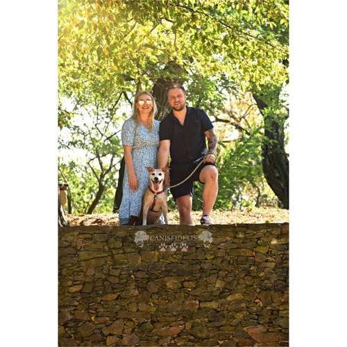 Hundeauslaufgebiet-Canisfidelis Hundeschule-Bild