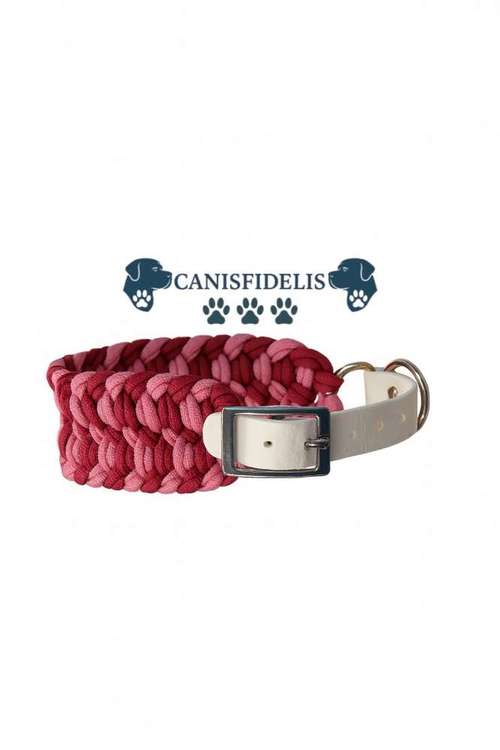 Hundeauslaufgebiet-Canisfidelis Hundeschule-Bild