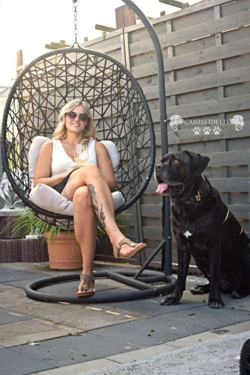 Hundeauslaufgebiet-Canisfidelis Hundeschule-Bild