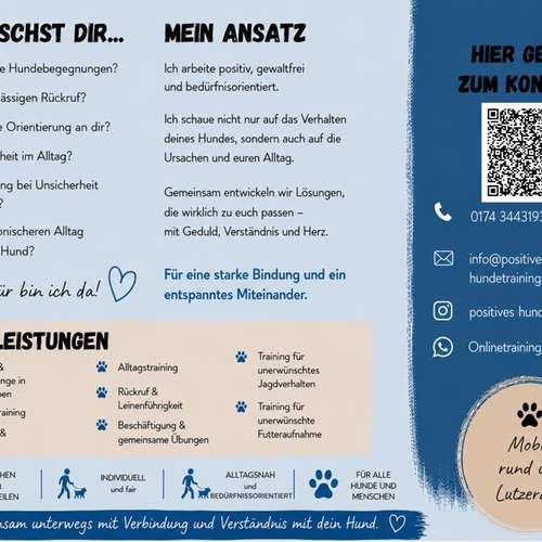 Hundeauslaufgebiet-Positives Hundetraining Galonske-Bild