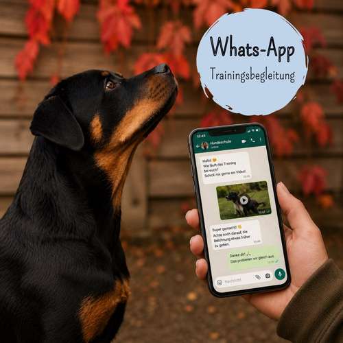 Hundeauslaufgebiet-Positives Hundetraining Galonske-Bild