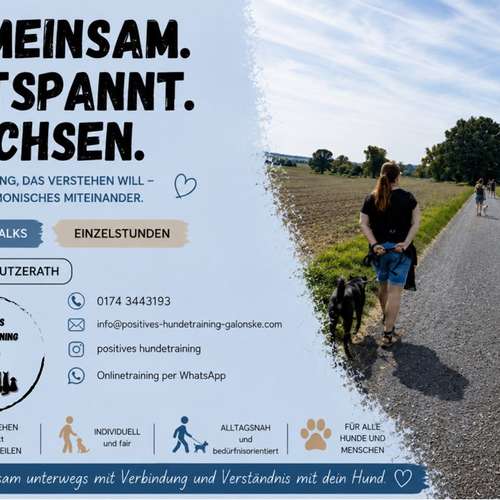 Hundeauslaufgebiet-Positives Hundetraining Galonske-Bild