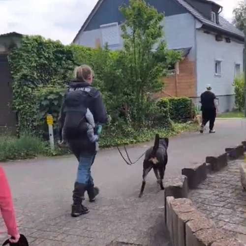 Hundeauslaufgebiet-Positives Hundetraining Galonske-Bild