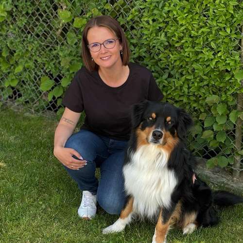 Hundeauslaufgebiet-Hundeschule Elitepfoten-Bild