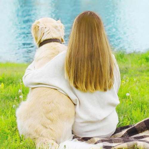 Hundeauslaufgebiet-Natur Instinkt-Bild
