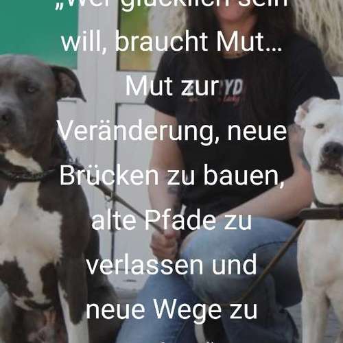 Hundeauslaufgebiet-Natur Instinkt-Bild