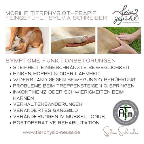 Hundeauslaufgebiet-Tierphysiotherapie Feingefühl | Neuss-Bild