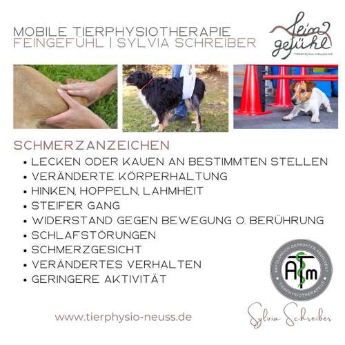 Hundeauslaufgebiet-Tierphysiotherapie Feingefühl | Neuss-Bild