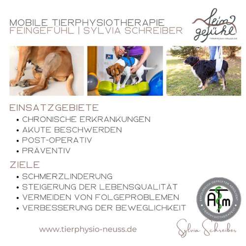 Hundeauslaufgebiet-Tierphysiotherapie Feingefühl | Neuss-Bild