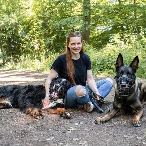 Hundeauslaufgebiet-Räuberpfoten-Bild