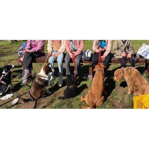 Hundeauslaufgebiet-HUNDESCHULE MÜLLER-Bild