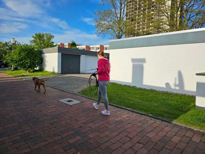 Hundeauslaufgebiet-Hundeschule Rose-Bild