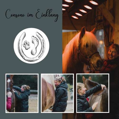 Hundeauslaufgebiet-Consono im Einklang-Bild