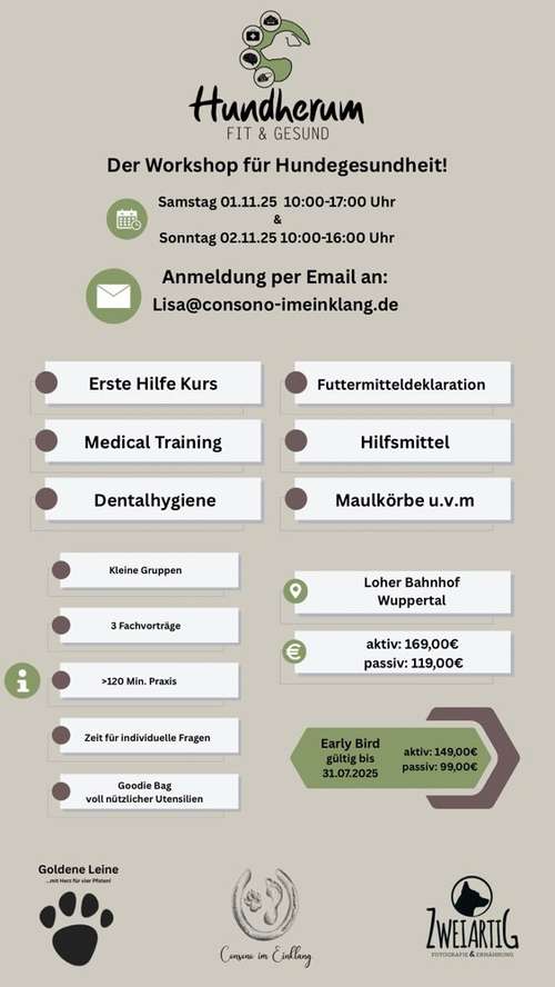 Hundeauslaufgebiet-Consono im Einklang-Bild