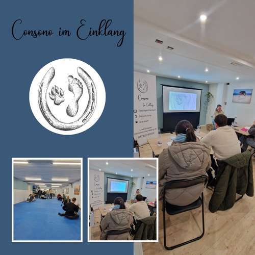 Hundeauslaufgebiet-Consono im Einklang-Bild