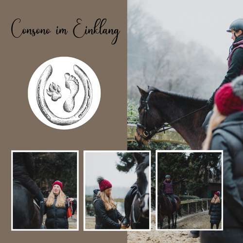 Hundeauslaufgebiet-Consono im Einklang-Bild