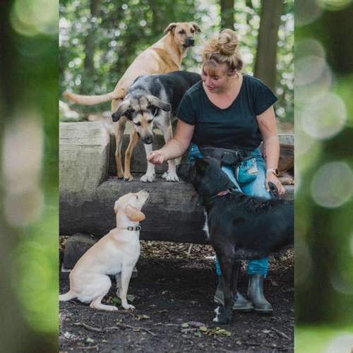 Hundeauslaufgebiet-Consono im Einklang-Bild