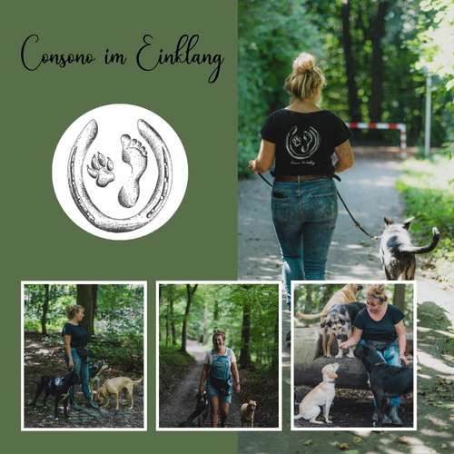 Hundeauslaufgebiet-Consono im Einklang-Bild