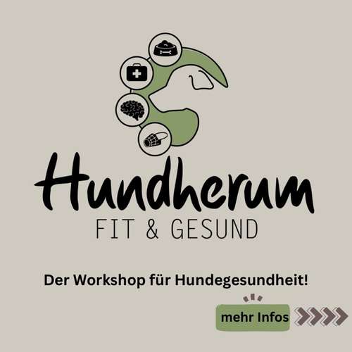 Hundeauslaufgebiet-Consono im Einklang-Bild