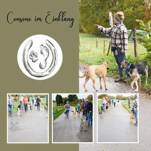 Hundeauslaufgebiet-Consono im Einklang-Bild