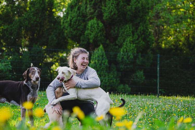 Hundeauslaufgebiet-Consono im Einklang-Bild