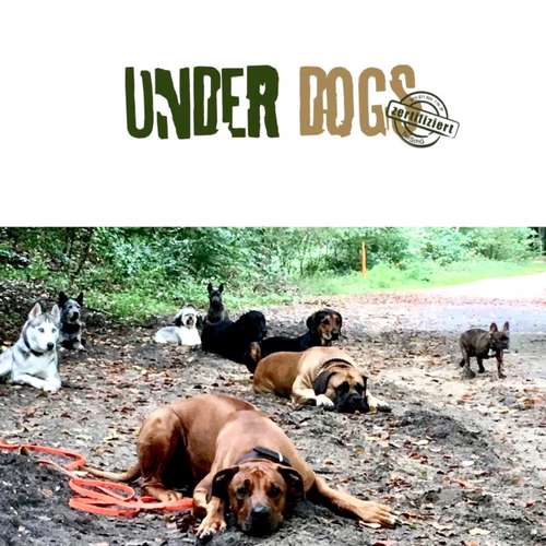 Hundeauslaufgebiet-Hundeschule Under Dogs -Bild