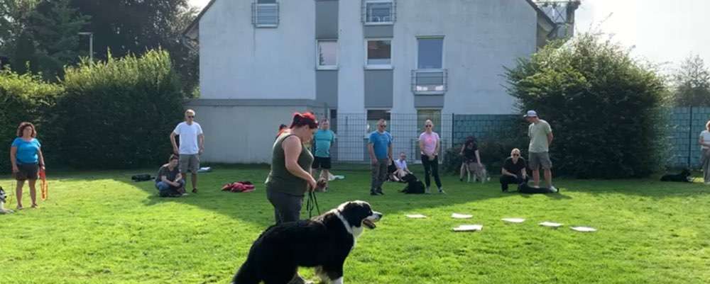 Hundeauslaufgebiet-Hundeschule Under Dogs -Bild