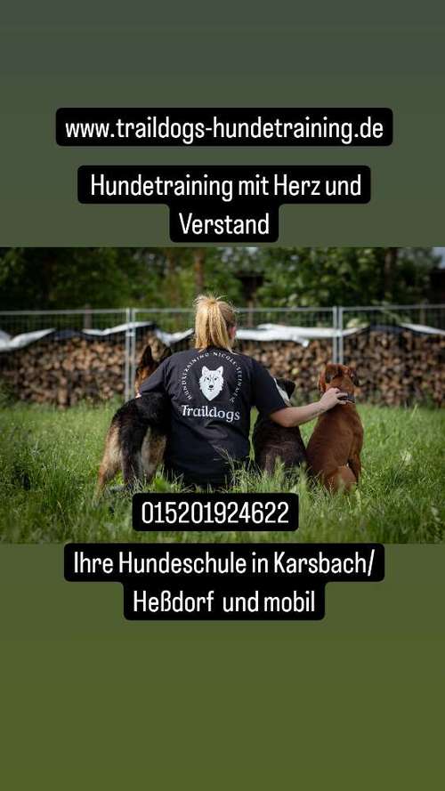 Hundeauslaufgebiet-Traildogs Hundetraining - Nicole Steinmetz-Bild