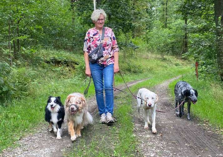 Hundeauslaufgebiet-HundeLiebe1x1 -Bild