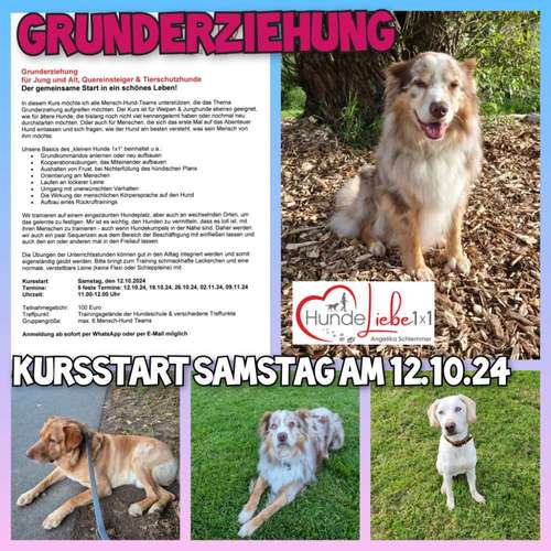 Hundeauslaufgebiet-HundeLiebe1x1 -Bild