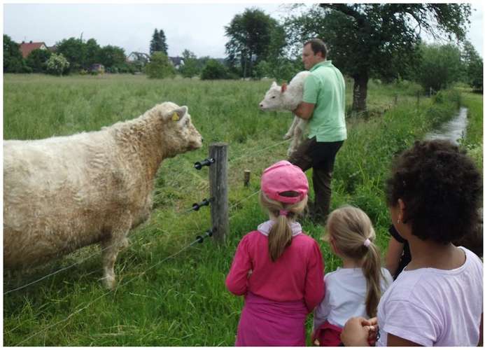 Hundeauslaufgebiet-Dr. Simon Beck-Bild