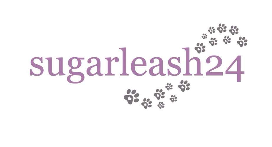 Hundeauslaufgebiet-sugarleash24-Bild
