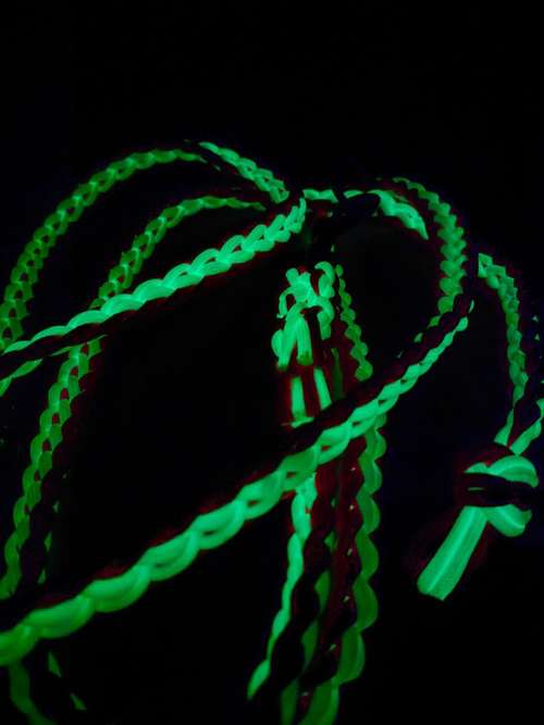 Hundeauslaufgebiet-sugarleash24-Bild