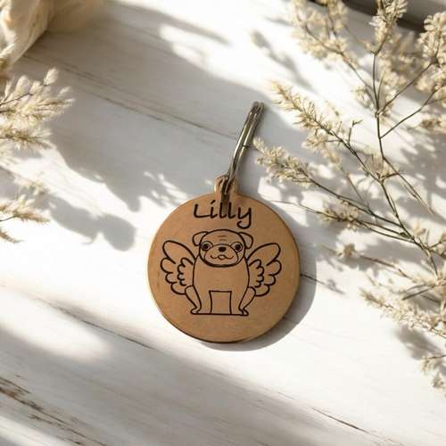 Hundeauslaufgebiet-Wonder Wuff-Bild