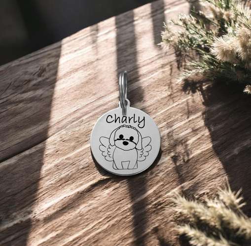 Hundeauslaufgebiet-Wonder Wuff-Bild