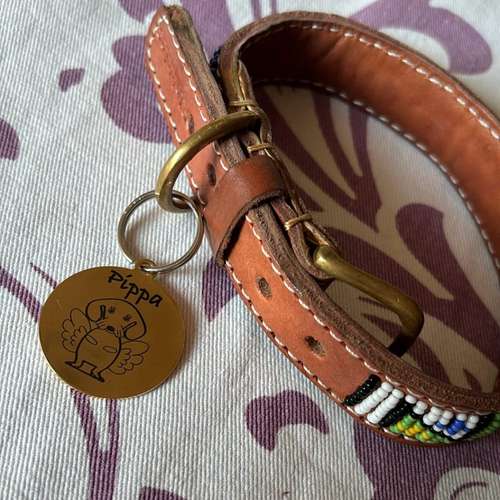 Hundeauslaufgebiet-Wonder Wuff-Bild