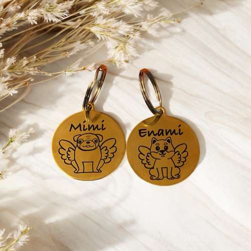 Hundeauslaufgebiet-Wonder Wuff-Bild