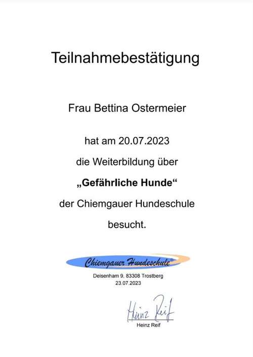 Hundeauslaufgebiet-Dogford Academy - Hundetraining in AK/NR-Bild