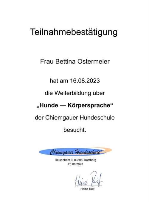 Hundeauslaufgebiet-Dogford Academy - Hundetraining in AK/NR-Bild