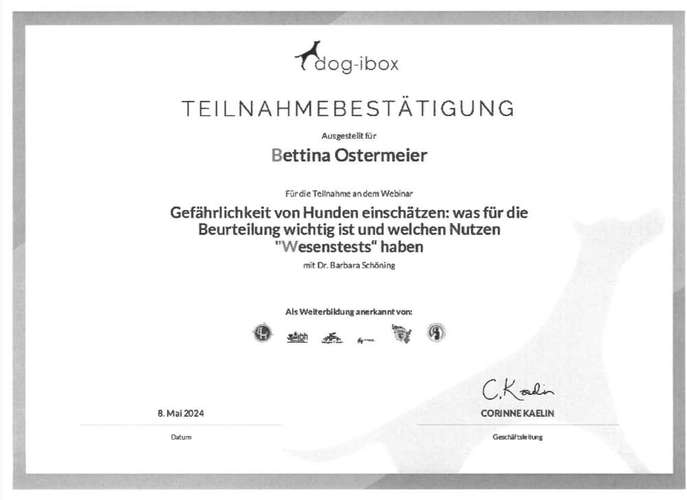 Hundeauslaufgebiet-Dogford Academy - Hundetraining in AK/NR-Bild