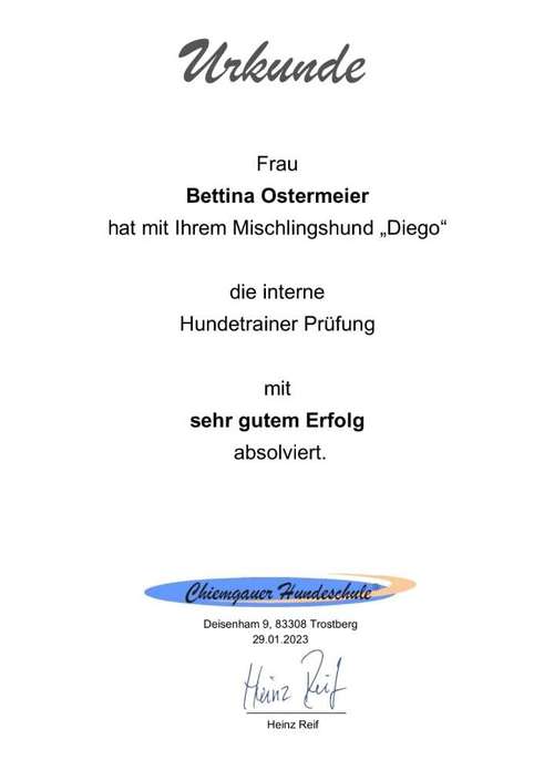 Hundeauslaufgebiet-Dogford Academy - Hundetraining in AK/NR-Bild