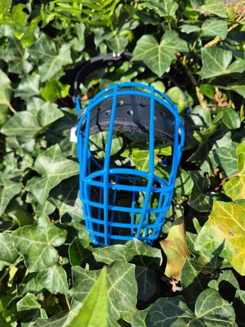 Hundeauslaufgebiet-Dogford Academy - Hundetraining in AK/NR-Bild