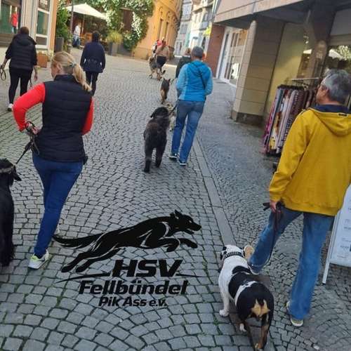Hundeauslaufgebiet-HSV Fellbündel Pik Ass e.V.-Bild