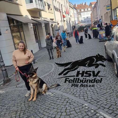 Hundeauslaufgebiet-HSV Fellbündel Pik Ass e.V.-Bild