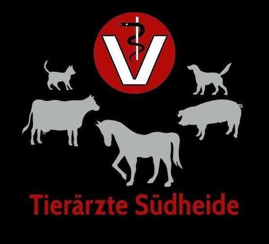 Hundeauslaufgebiet-Dr. Harke & Dr. Kauenhowen-Bild